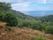 Mochlos Kreta, Mochlos: Erhöhtes Baugrundstück mit Meerblick in Sfaka zu verkaufen Grundstück kaufen